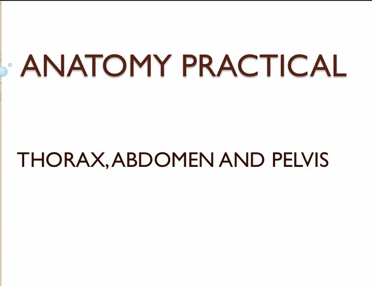 No preview available